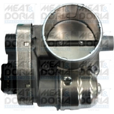 Throttle Body
